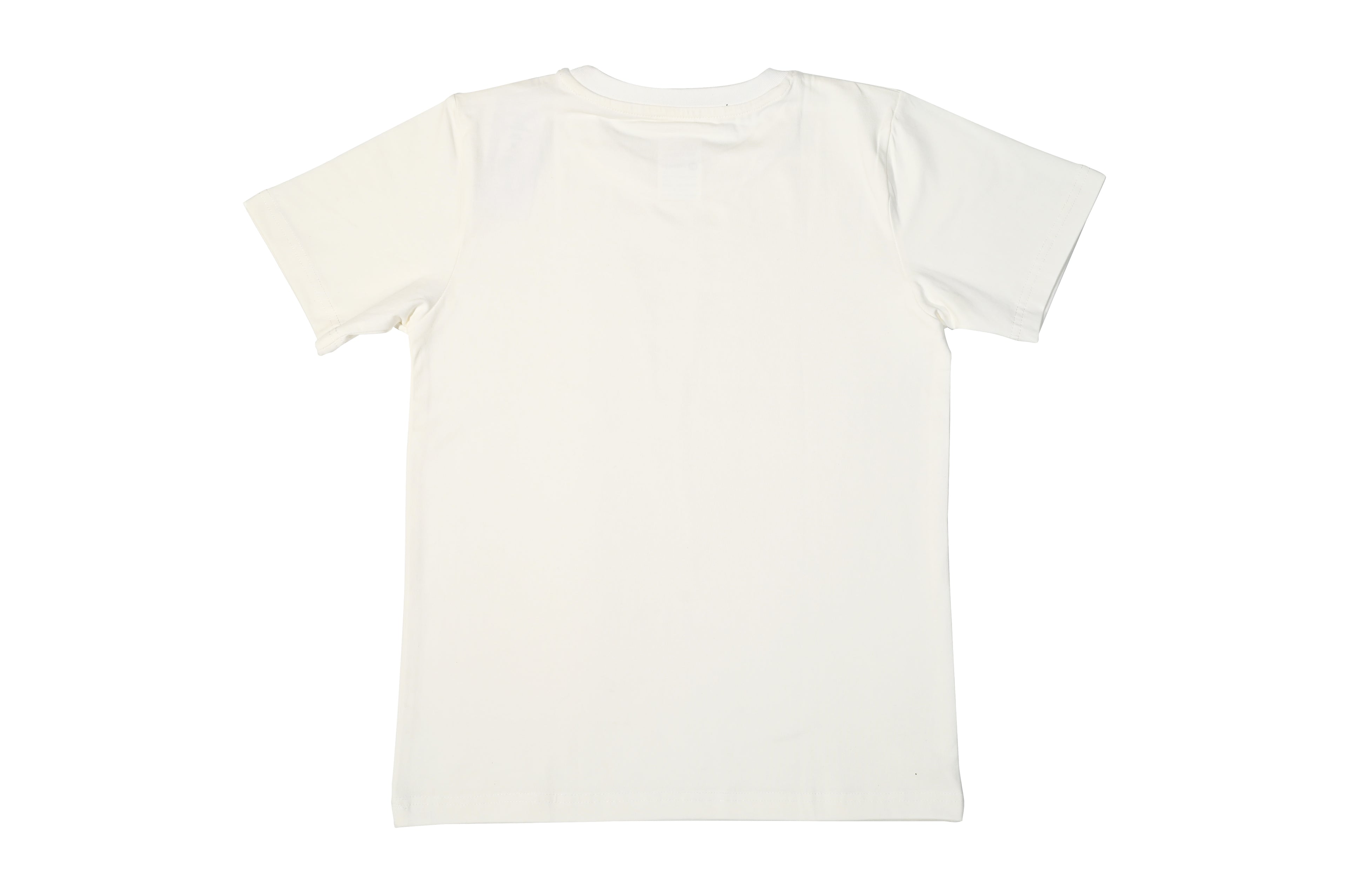 Plain white t-shirt on a white background