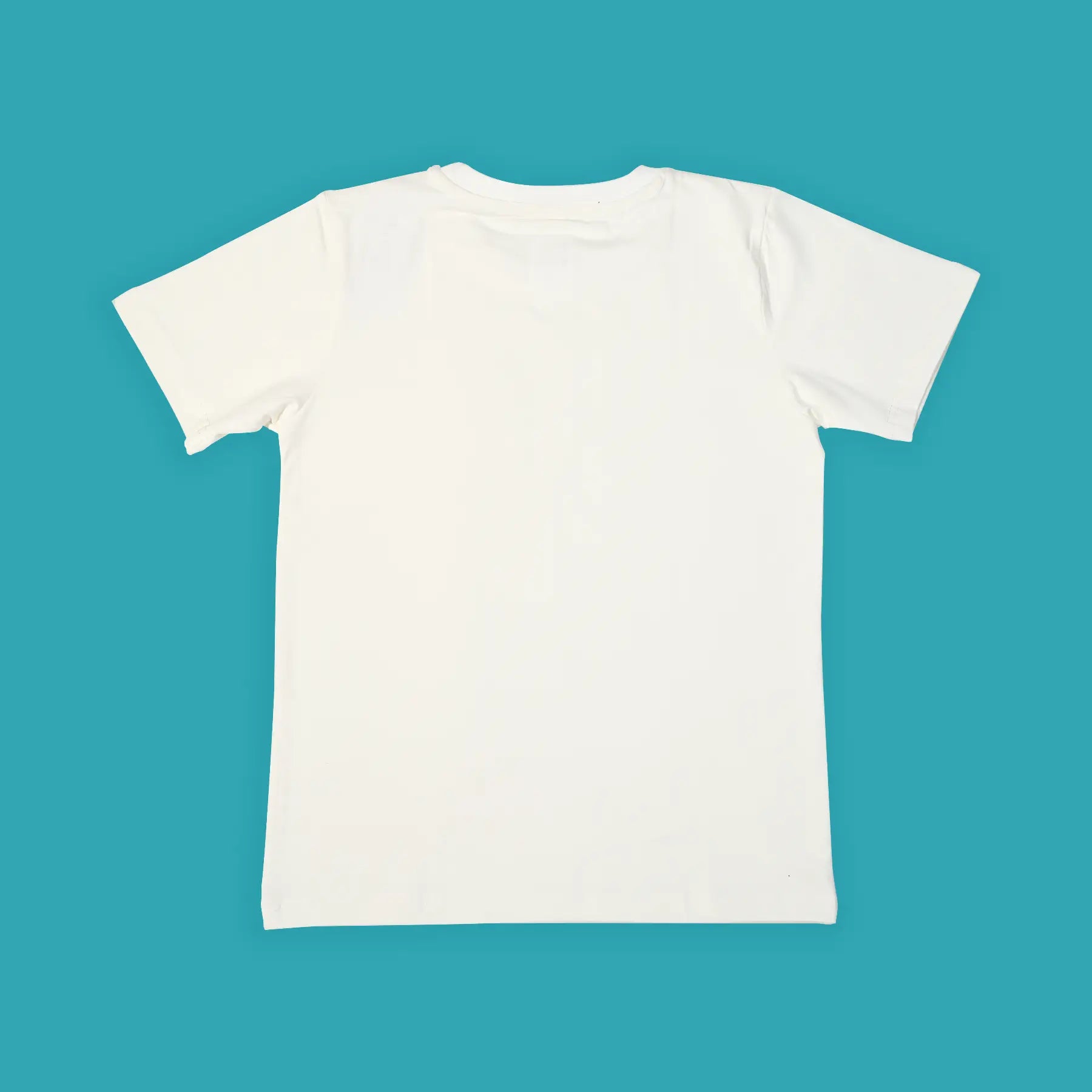 White t-shirt on a teal background